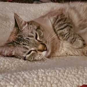 Meet your Posher, Kaela